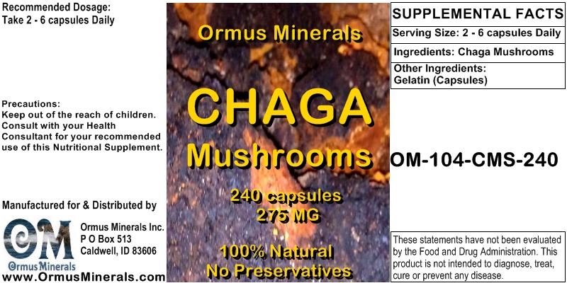 Chaga Mushrooms Caps